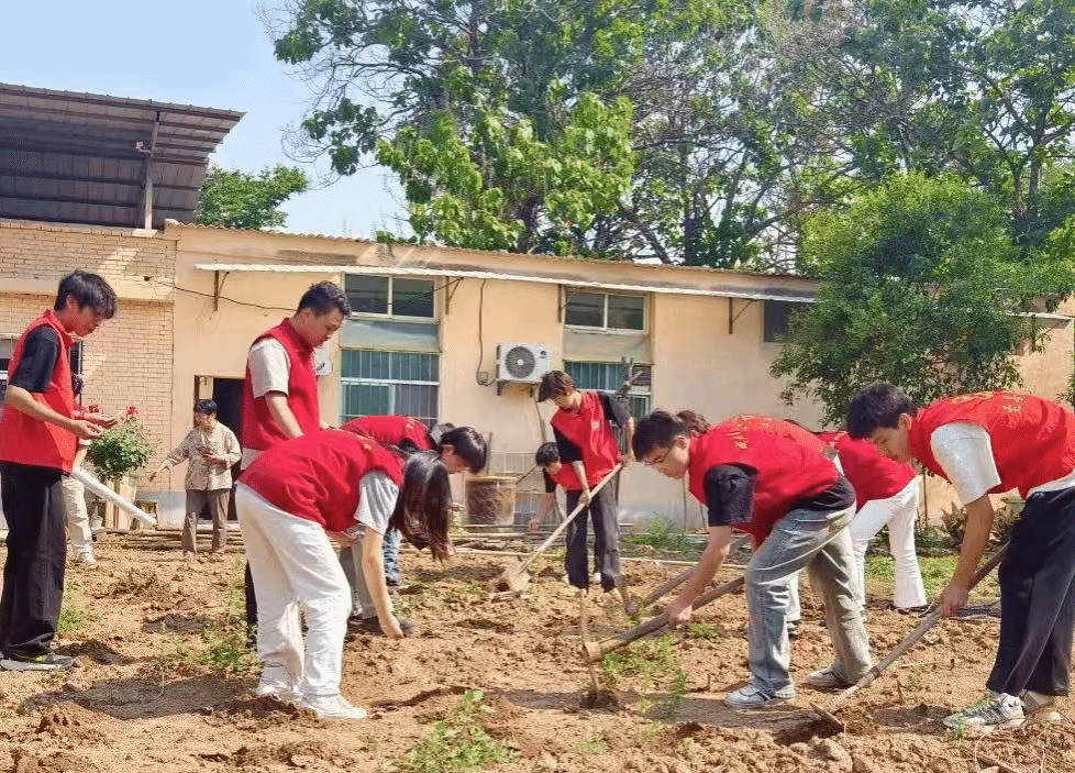 蝉鸣青春行，微光聚星河 ——咸阳职院7790cnm必发集团盛夏志愿三重奏